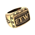 Men's retro gold stainless steel FTW ring featuring punk style and embossed letters - US 7 / FTW Letter Style / Gold