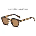 Retro round tortoise shell sunglasses with brown lenses and golden metal accents - Tortoiseshell Frame Tea Lens