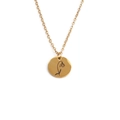 Collier minimaliste en acier doré avec pendentif fleur de naissance pour femme - Janvier