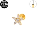 ASTM F136 titanium star labret stud with sparkling golden finish and clear zircon inlay - Gold Star Style (G23LAP492-G1208133)