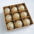 Set of 9 gold Christmas tree hanging balls with glitter and star sequins in a gift box - 8cm Set (9 Pieces) / Champagne