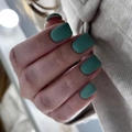 Matte teal blue square round press-on nails with a minimalist professional finish - Matte Dark Green Style (JP3202) - Glue Type