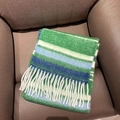 Winter scarf in green white and blue stripes with soft fringe on a leather chair - Green New Stripe