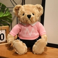 Plush teddy bear in pink M-letter hoodie and black pants with soft light brown fur - M Letter Hoodie Set / Pink