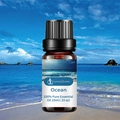 Ocean scented 10ml pure essential oil in a dark amber glass bottle on a beach background - Ocean Aromatherapy