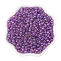 4mm purple iridescent glass seed beads for DIY jewelry in a white petal tray - 4mm / Dark Purple (#05 Style)