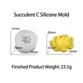 Succulente siliconen mal voor kaarsen maken, 70x31mm, met gedetailleerd bloemmotief - Succulent Vorm Stijl C