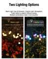 Outdoor solar firefly decorative lights with warm white and RGB color changing LED options - Firefly Light (8-Head) Multi-Color