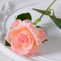 Artificial velvet rose stem in gradient pink and orange finish for home decor - 7cm / Pink Champagne (Silk Cloth)