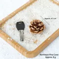 Natural large pine cones 4-5cm for winter DIY crafts and rustic Christmas decor - 4-5cm Northeast Pine Cones