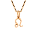 Golden Leo zodiac pendant on a polished box chain necklace for men and women - Leo / Gold