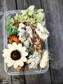 Detailansicht verschiedener Trockenblumen mit Hortensien und Gänseblümchen in einer Box - Trockenblumen Box Nr. 6