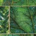 6x6 inch scrapbook paper pad with green botanical leaves and golden glitter frame - R2568 24 Sheets