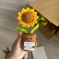 Handcrafted knitted sunflower plant in a pot with an emotional support message card - 6-Petal Sunflower