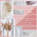 96-piece dried pampas grass bouquet set including reed and rabbit tail grass in white - ￡￡￡004 - Seven-piece Set ￡￡￡￡
