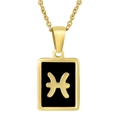 18K gold plated stainless steel necklace featuring a black Pisces zodiac sign pendant - Pisces (With Chain)