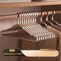 Premium champagne gold aluminum alloy hanger with anti-slip grooves, 41x20.5x1.2cm size - Champagne Gold【1.2cm】