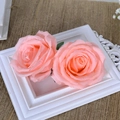 Artificial light pink rose heads in a vintage white frame with a rustic linen background - Coral Pink