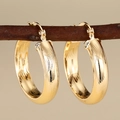 Poliertes Gold-Creolen-Set mit radialer Struktur hängend an einem natürlichen Ast - E4416-Gebürsteter Creolen-Stil / Gold