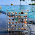 Scatola portaoggetti in acrilico trasparente a 36 scomparti per conchiglie con chiusura magnetica - Magnetico Forte 36 Griglie (12.5*12.5cm)