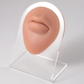 Flesh-pink silicone lip and chin piercing practice model on clear acrylic stand - Brown-Mouth