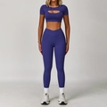 Two-piece deep purple yoga set with cross-waist leggings and hollow-out crop top - S / Top And Bottom / Short Sleeve + Leggings / Rosey Blue