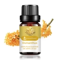 Osmanthus pure essential oil in a 10ml amber glass bottle with fresh flowers - Osmanthus (single Ingredient)