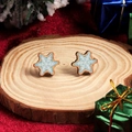 Charming wooden snowflake stud earrings in ice blue finish for Christmas outfits - Blue Snowflake