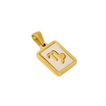 Gouden Maagd sterrenbeeld ketting met wit emaille inleg op rechthoekige hanger - Steenbok