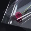 Pellicola trasparente impermeabile OPP per bouquet di fragole e confezioni regalo di fiori - Cellophane Trasparente 4.7 Seta / 60cm 20 Fogli