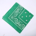 Green paisley polyester bandana featuring classic white patterns for outdoor sports - 54*54CM / Grass Green