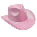 Detail of pink and white striped cowboy hat with pearlescent finish and wide brim - One Size / Pink (Striped)