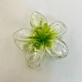 Pinza de pelo floral de acrílico transparente con motas verdes para mujer - Pinza Para El Cabello Con Diseño De Frangipani Verde/copo De Nieve [aprox. 8 X 7 X 4 Cm]