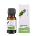 Rosemary fragrance oil 10ml in amber glass bottle with matching box for diffuser - Rosemary
