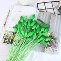 Macro detail of natural green rabbit tail dried flowers for DIY floral home decoration - Green