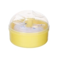 Boîtier à poudre pour bébé avec base jaune, couvercle transparent et houppe douce - Jaune