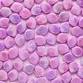 Purple iridescent shell-shaped ABS imitation pearl beads for DIY jewelry making - 100Pcs Per Pack / Purple