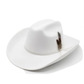 Classic white wool felt cowboy hat with wide brim and decorative feather accent - M(56-59CM) / White