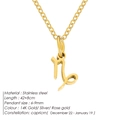 14K gold plated stainless steel Capricorn zodiac sign pendant necklace for women - Capricorn / Gold