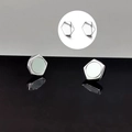 Silver geometric hexagonal stud earrings for men featuring a minimalist punk industrial style - Pentagonal Magnetic Silver Pair / Silver