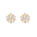 Sparkling star stud earrings with gold plating and clear cubic zirconia stones - Pentagram