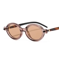 Retro oval sunglasses with transparent tea frame and tortoiseshell patterned temples - Light Tea Frame Light Tea Lens (C7)