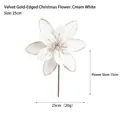 Fleur de Noël en velours blanc crème avec bords pailletés dorés diamètre 25cm - Blanc Lait