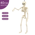 Bewegliche 40cm Skelett Dekoration mit Aufhängeschlaufe für Halloween Party und Bar - Neues 40cm Skelett