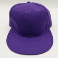 Detailed view of the six-panel crown and twill fabric texture on a purple flat brim cap - One Size / Purple