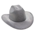 Détail de la texture rayée gris argenté et du tissu métallique sur un chapeau de cow-boy - Gris