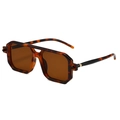 Moderne Doppelsteg-Sonnenbrille mit quadratischem Schildpatt-Rahmen und Gläsern - Schildpatt Goldakzent Bügel-Stil / Leoparden-Rahmen / Teebraune Gläser