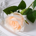 Single champagne artificial silk rose with realistic petals on white embossed plate - 7cm / Champagne (Silk Cloth)