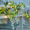 Battery 2M 20LEDs / White Wisteria