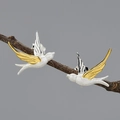 Elegant swallow stud earrings in matte silver and gold wings on a natural twig branch - Two-tone Swallow Style (LFJA0103E) / 925 Silver